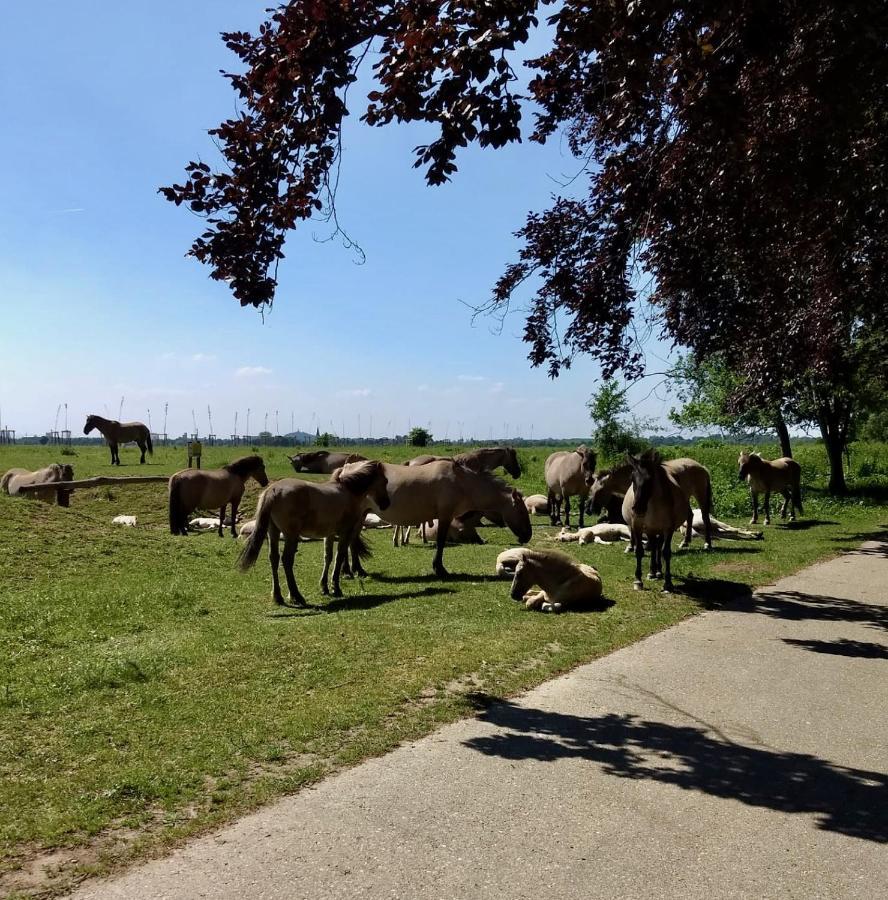 Vakantiewoningen Bienvenue, Le Pont Lanaken Bagian luar foto